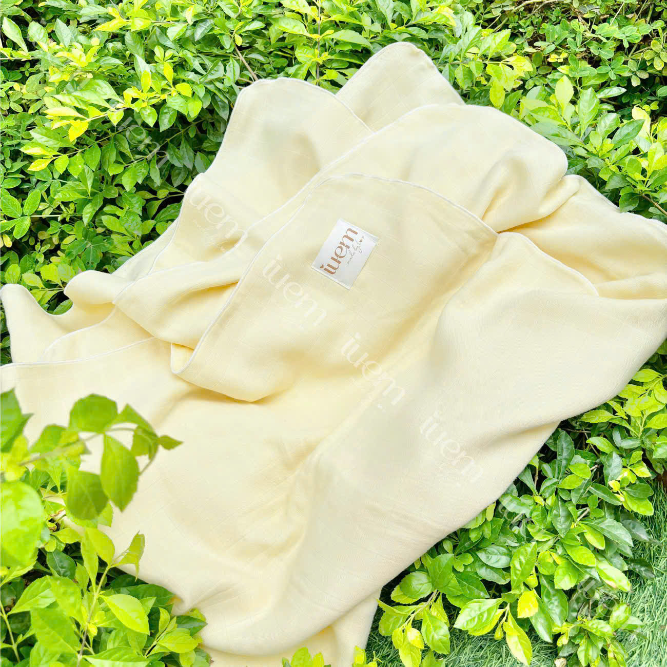 z7143591269659_843dcb6bb8011cdc4d7e26c860087888